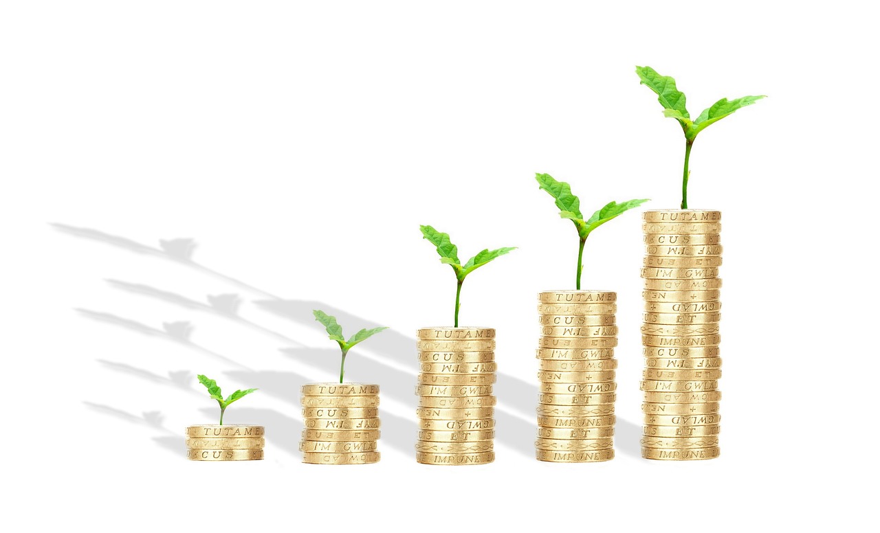 A Beginners guide to Indian Equity market